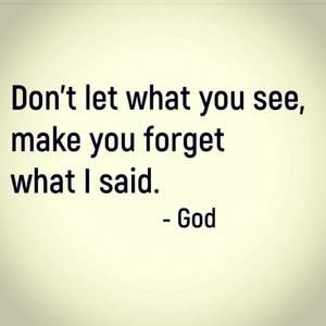 Meet your Posher, Betty